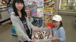 堺の堤防でサバ・マルアジ・マイワシ・カタク…