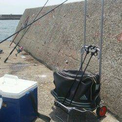 須磨にて夜の終電から昼までメバリング&投げ釣り&落とし込み