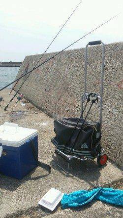 須磨にて夜の終電から昼までメバリング&投げ釣り&落とし込み