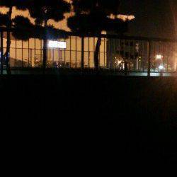 大蔵海岸　メバリングモドキ?でメバル狙い釣行