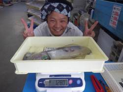 田辺元島の地磯でヤエン釣り　アオリイカ12…