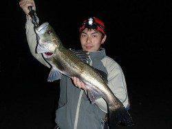 佐野漁港、二人でシーバスＭＡＸ７０ｃｍを頭に５匹