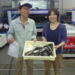 みなべ町堺漁港にてウキ釣り〜アジ・イワシ・キス・グレ