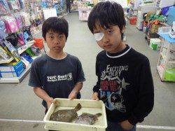 天神崎にてカワハギの釣果