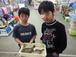 天神崎にてカワハギの釣果