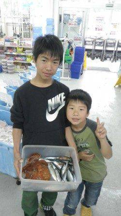 権現崎にて飛ばしサビキでアジ・サバの釣果