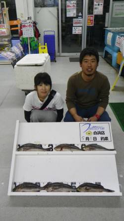 半夜でイサキ！　白浜町笠甫大島の磯