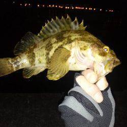 高砂港 プラグでメバル初GET☆ 良型タケノコもGET