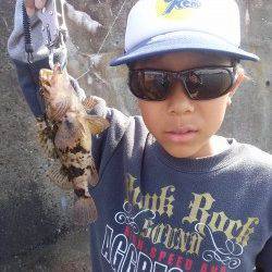 本荘人工島で穴釣り〜メバル確実に大きくなってきました♪