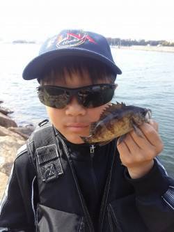 本荘人工島で穴釣り〜メバル確実に大きくなっ…