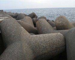 高砂港にてシラサの穴釣りでガシラの釣果