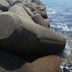 高砂港で探り釣り1時間勝負　アイナメにガシラ