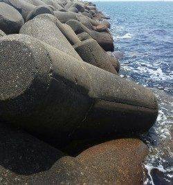 高砂港で探り釣り1時間勝負　アイナメにガシラ