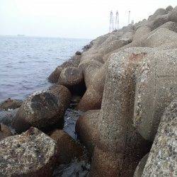 本荘人工島 穴釣りでガシラ・アイナメ・メバル