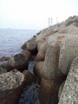 本荘人工島 穴釣りでガシラ・アイナメ・メバル