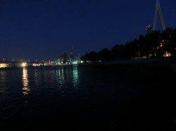 淀川河口、ワームでガシラをＧＥＴ