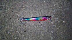 貝塚シーバス生体調査に出陣！ 1匹GETするも爆風のため納竿