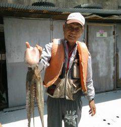 沖の一文字でタコ、テンヤで2.5kgをキャッチしました