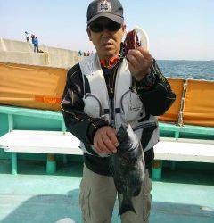 沖の一文字での落とし込み釣果　チヌ43cm他