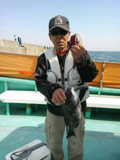 沖の一文字での落とし込み釣果　チヌ43cm他