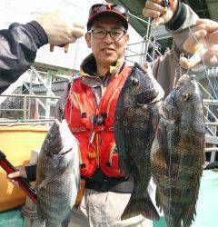 沖の一文字での落とし込み釣果　チヌ43cm他