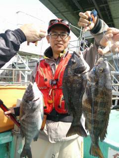 沖の一文字での落とし込み釣果　チヌ43cm…