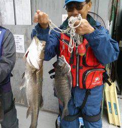 沖の北、中波止でエビ撒き釣り　スズキにチヌ