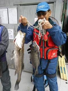 沖の北、中波止でエビ撒き釣り　スズキにチヌ…