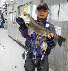 沖の北、中波止でエビ撒き釣り　スズキにチヌ