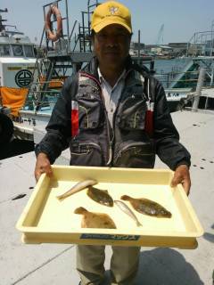 岸和田一文字　投げ釣りでカレイ＆キスの釣果…