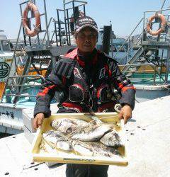 沖一文字カーブ　フカセでチヌ、ちょい投げでキスの釣果