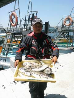 沖一文字カーブ　フカセでチヌ、ちょい投げでキスの釣果