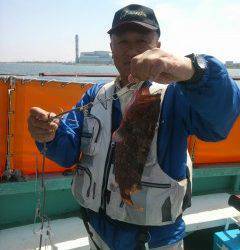 シラサエビを使って根魚狙い　沖の白灯台