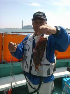 シラサエビを使って根魚狙い　沖の白灯台