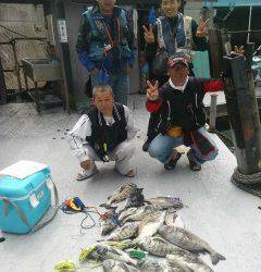 岸和田一文字　落とし込みのチヌが好調です