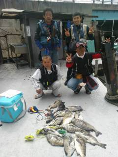 岸和田一文字　落とし込みのチヌが好調です