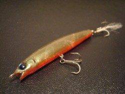 シーバスを狙いに貝塚港へ〜アタリの正体はサヨリでした！