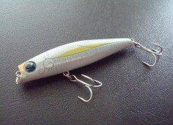 バチ・シーバス狙いで岸和田釣行〜本命バラし、サヨリがかかってきました