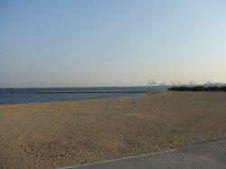 南芦屋浜西面にシーバス釣行〜狙い通り合わせて釣った嬉しい1匹