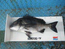 年無しでました！！ in 北港魚つり公園