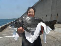 北港釣り公園　チヌ・グレ・アジの釣果