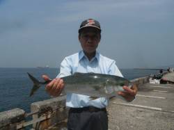 和歌山北港魚つり公園でハマチ58cm、ほか…