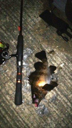 りんくう周辺でのメバリング、良型求めランガン