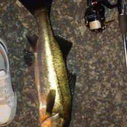 汐見埠頭　GWのハイプレッシャーのなかでのシーバスゲーム