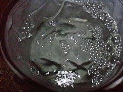 戸津井・小引漁港　サビキの小サバをエサにアオリイカ狙いも‥