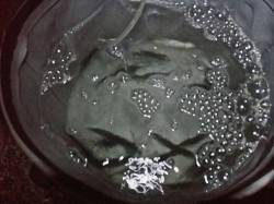 戸津井・小引漁港　サビキの小サバをエサにア…