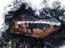 小橋でエギング、潮止まり直後にコウイカ♪ 湾内で今年初アオリイカ！