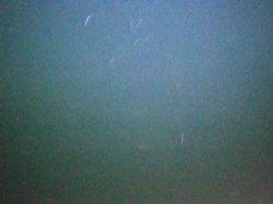 夜の田の浦〜サビキでアジを狙いに行きました