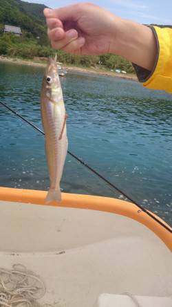 淡路島・鳥取にて今シーズン初のキス〜26c…