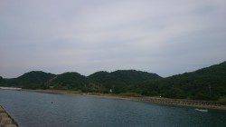 淡路島・鳥取にて今シーズン初のキス〜26cmの良型も♪